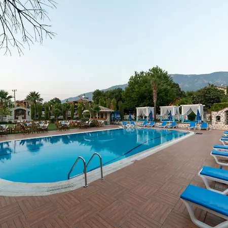 Iksirci Baba 5*