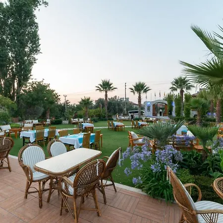 Iksirci Baba أولدينيس